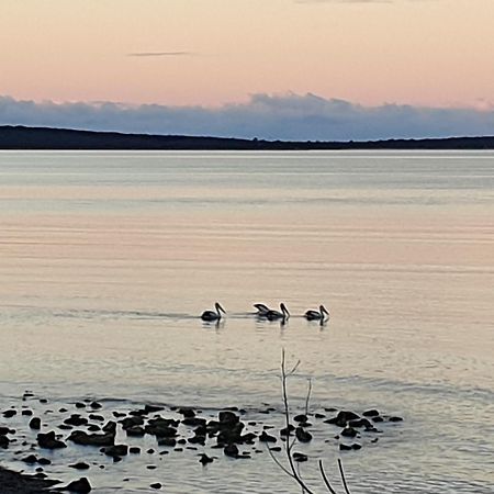 Port Lincoln Caravan Park North Shields Екстериор снимка