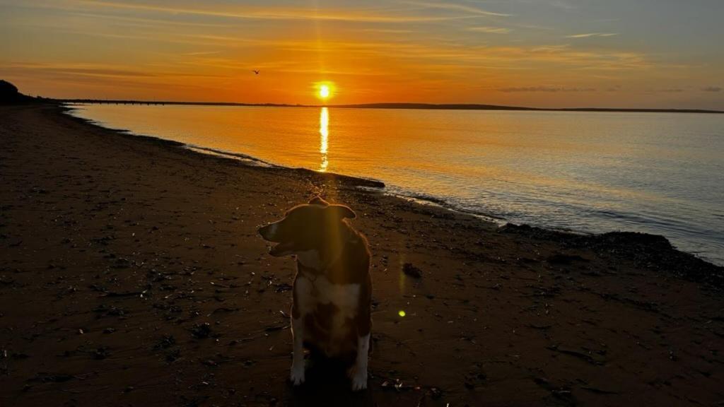 Port Lincoln Caravan Park North Shields Екстериор снимка